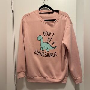 Women’s Medium Don’t Be A C*ntasaurus Pullover Sweater in pink NWOT
